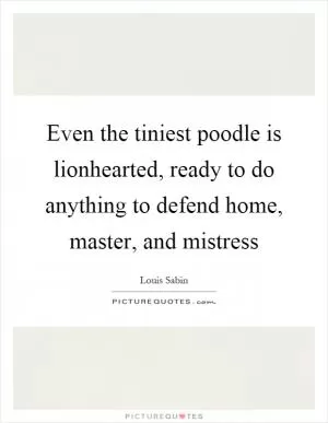 Even the tiniest poodle is lionhearted, ready to do anything to defend home, master, and mistress Picture Quote #1