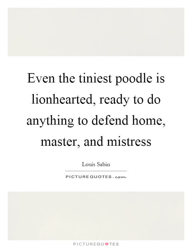 Even the tiniest poodle is lionhearted, ready to do anything to defend home, master, and mistress Picture Quote #1