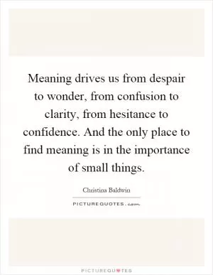 Meaning drives us from despair to wonder, from confusion to clarity, from hesitance to confidence. And the only place to find meaning is in the importance of small things Picture Quote #1