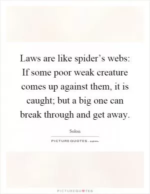 Laws are like spider’s webs: If some poor weak creature comes up against them, it is caught; but a big one can break through and get away Picture Quote #1