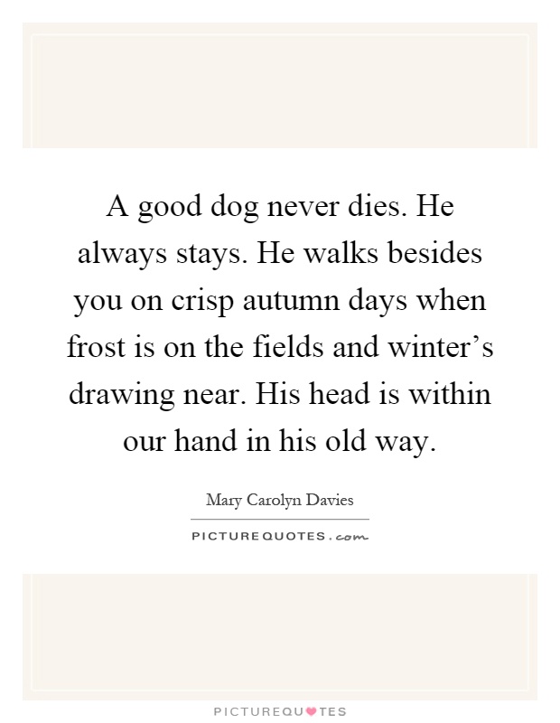 A good dog never dies. He always stays. He walks besides you on crisp autumn days when frost is on the fields and winter's drawing near. His head is within our hand in his old way Picture Quote #1