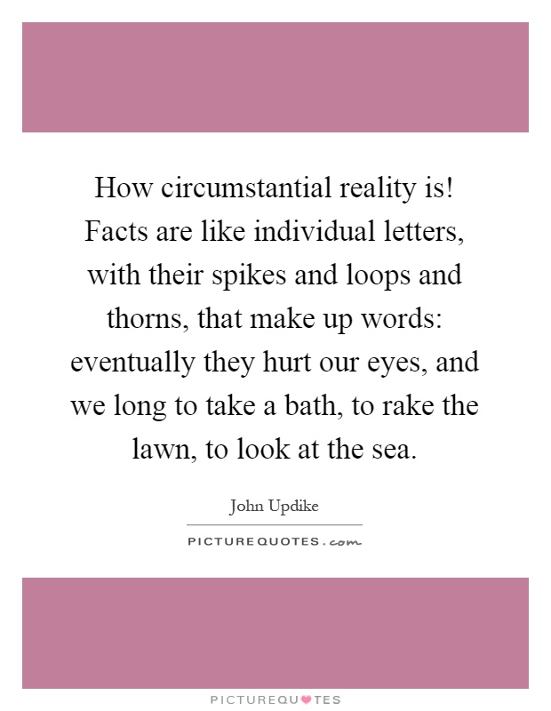 How circumstantial reality is! Facts are like individual letters, with their spikes and loops and thorns, that make up words: eventually they hurt our eyes, and we long to take a bath, to rake the lawn, to look at the sea Picture Quote #1