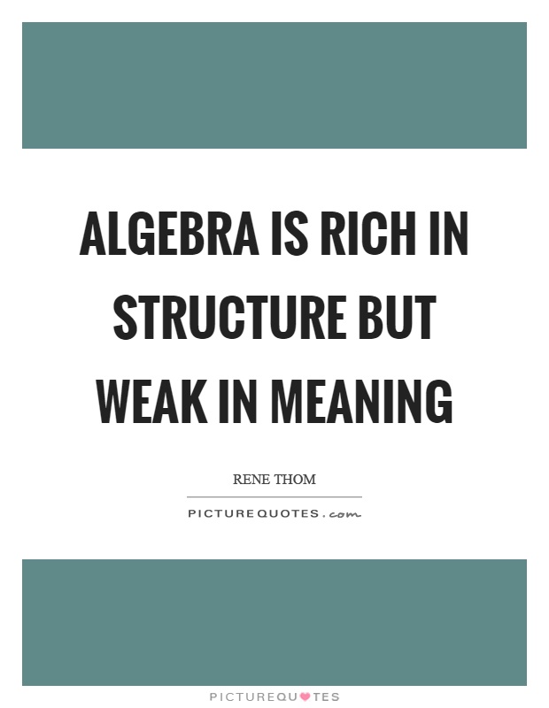 Algebra is rich in structure but weak in meaning Picture Quote #1