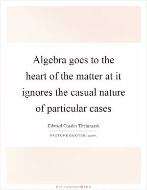 Algebra goes to the heart of the matter at it ignores the casual nature of particular cases Picture Quote #1