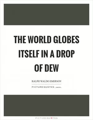 The world globes itself in a drop of dew Picture Quote #1