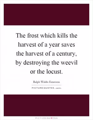 The frost which kills the harvest of a year saves the harvest of a century, by destroying the weevil or the locust Picture Quote #1