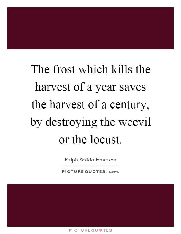 The frost which kills the harvest of a year saves the harvest of a century, by destroying the weevil or the locust Picture Quote #1