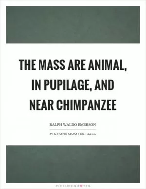 The mass are animal, in pupilage, and near chimpanzee Picture Quote #1