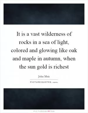 It is a vast wilderness of rocks in a sea of light, colored and glowing like oak and maple in autumn, when the sun gold is richest Picture Quote #1