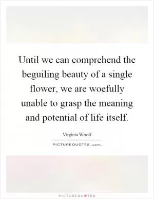 Until we can comprehend the beguiling beauty of a single flower, we are woefully unable to grasp the meaning and potential of life itself Picture Quote #1