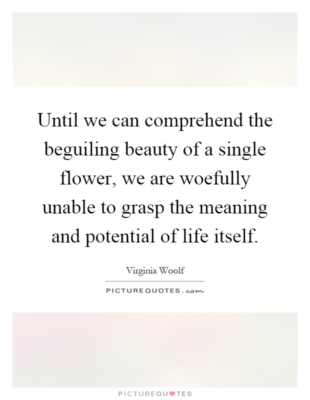 Until we can comprehend the beguiling beauty of a single flower, we are woefully unable to grasp the meaning and potential of life itself Picture Quote #1