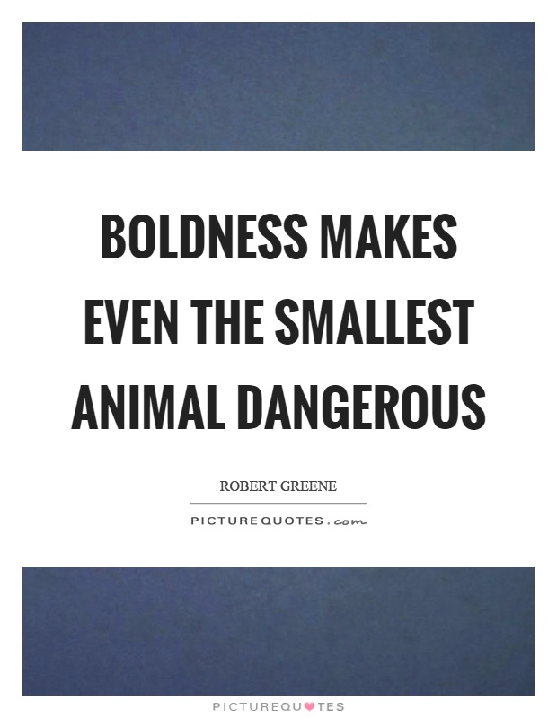 Boldness makes even the smallest animal dangerous Picture Quote #1