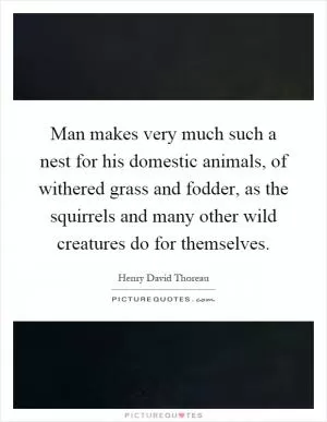Man makes very much such a nest for his domestic animals, of withered grass and fodder, as the squirrels and many other wild creatures do for themselves Picture Quote #1