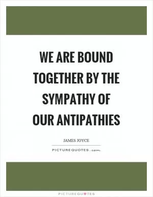 We are bound together by the sympathy of our antipathies Picture Quote #1