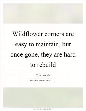 Wildflower corners are easy to maintain, but once gone, they are hard to rebuild Picture Quote #1