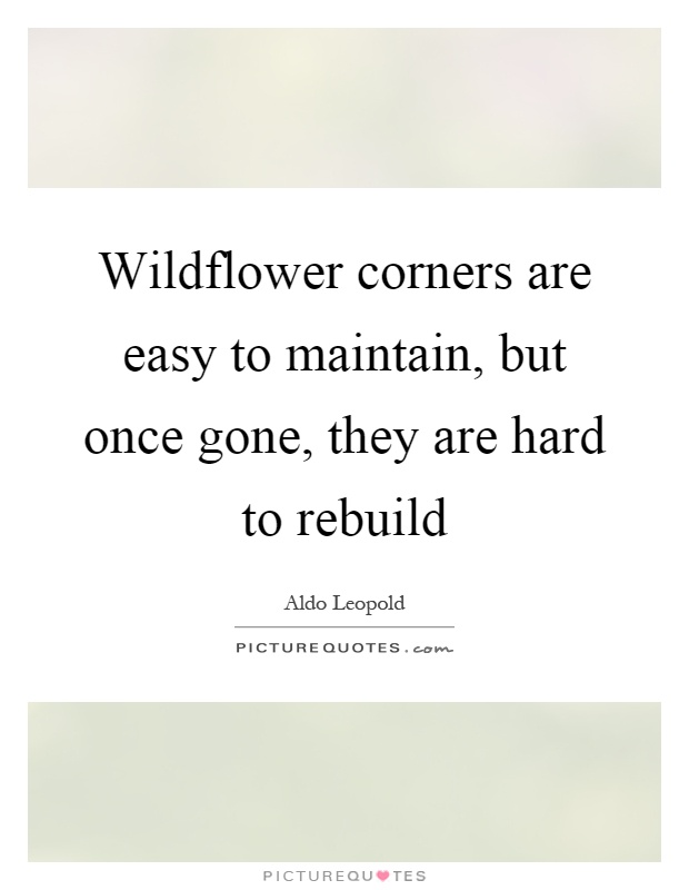 Wildflower corners are easy to maintain, but once gone, they are hard to rebuild Picture Quote #1