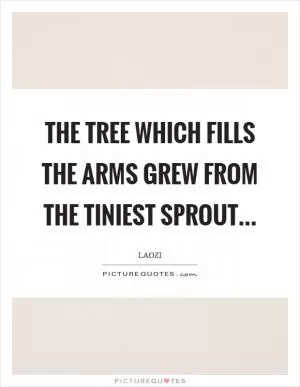 The tree which fills the arms grew from the tiniest sprout Picture Quote #1