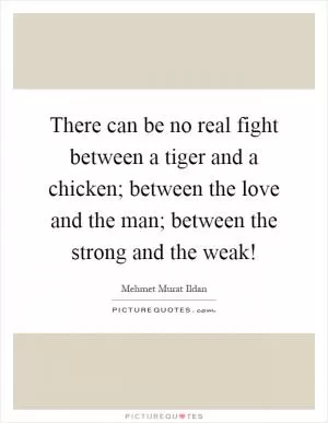 There can be no real fight between a tiger and a chicken; between the love and the man; between the strong and the weak! Picture Quote #1