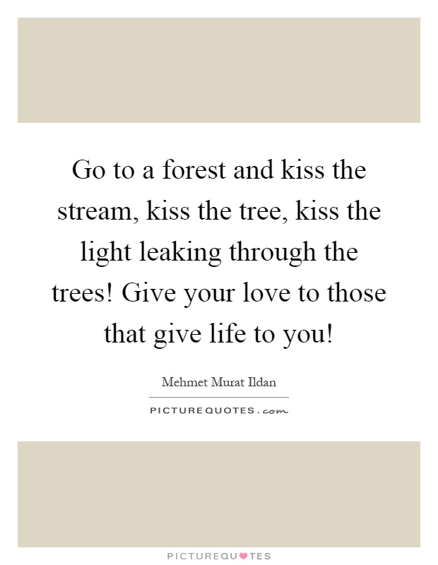 Go to a forest and kiss the stream, kiss the tree, kiss the light leaking through the trees! Give your love to those that give life to you! Picture Quote #1