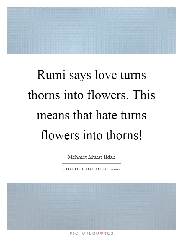 Rumi says love turns thorns into flowers. This means that hate turns flowers into thorns! Picture Quote #1