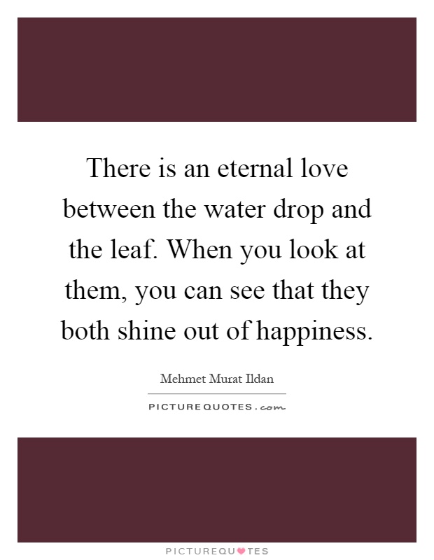 There is an eternal love between the water drop and the leaf. When you look at them, you can see that they both shine out of happiness Picture Quote #1