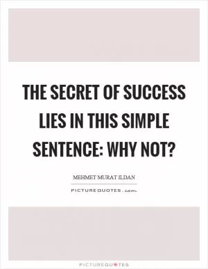 The secret of success lies in this simple sentence: Why not? Picture Quote #1