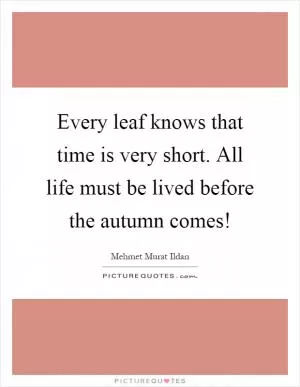 Every leaf knows that time is very short. All life must be lived before the autumn comes! Picture Quote #1
