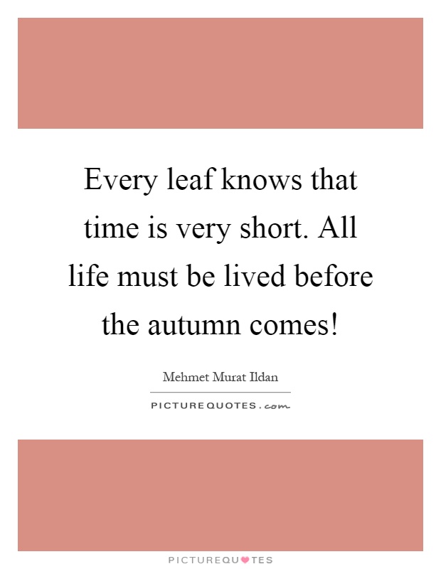 Every leaf knows that time is very short. All life must be lived before the autumn comes! Picture Quote #1