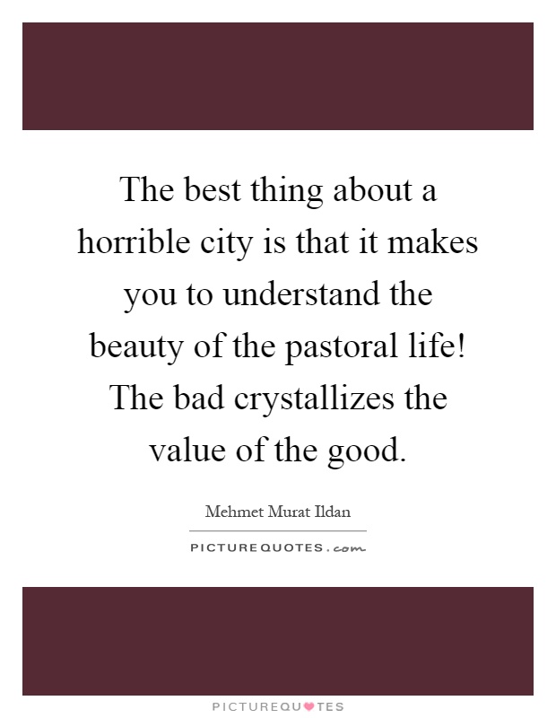 The best thing about a horrible city is that it makes you to understand the beauty of the pastoral life! The bad crystallizes the value of the good Picture Quote #1