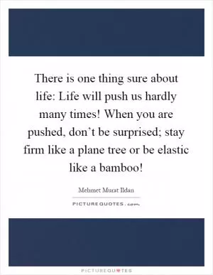 There is one thing sure about life: Life will push us hardly many times! When you are pushed, don’t be surprised; stay firm like a plane tree or be elastic like a bamboo! Picture Quote #1
