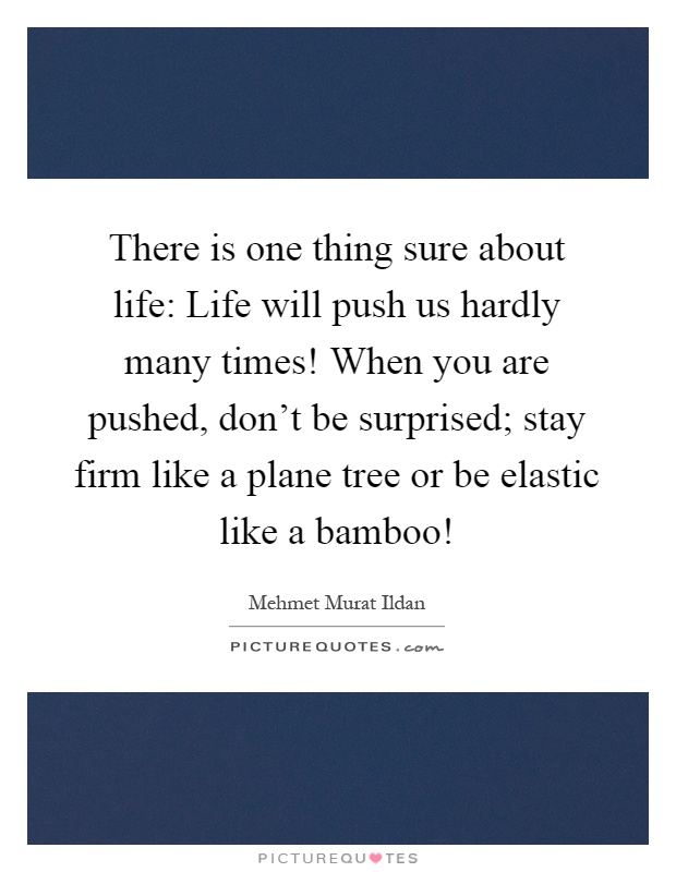 There is one thing sure about life: Life will push us hardly many times! When you are pushed, don't be surprised; stay firm like a plane tree or be elastic like a bamboo! Picture Quote #1