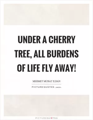 Under a cherry tree, all burdens of life fly away! Picture Quote #1