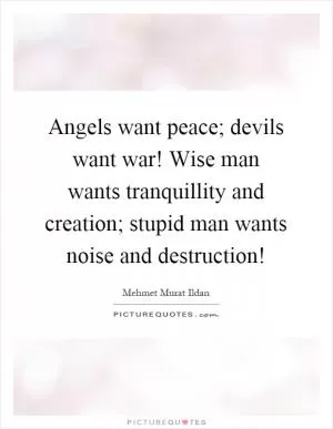 Angels want peace; devils want war! Wise man wants tranquillity and creation; stupid man wants noise and destruction! Picture Quote #1
