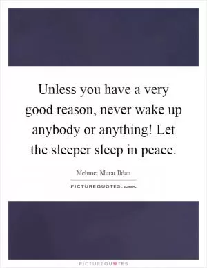 Unless you have a very good reason, never wake up anybody or anything! Let the sleeper sleep in peace Picture Quote #1