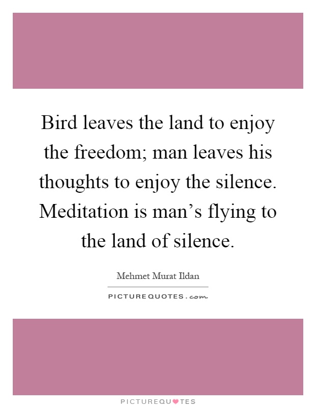 Bird leaves the land to enjoy the freedom; man leaves his thoughts to enjoy the silence. Meditation is man's flying to the land of silence Picture Quote #1
