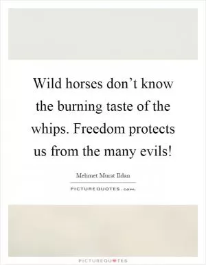 Wild horses don’t know the burning taste of the whips. Freedom protects us from the many evils! Picture Quote #1