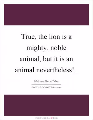 True, the lion is a mighty, noble animal, but it is an animal nevertheless! Picture Quote #1