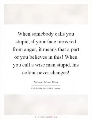 When somebody calls you stupid, if your face turns red from anger, it means that a part of you believes in this! When you call a wise man stupid, his colour never changes! Picture Quote #1