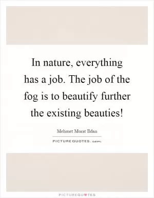 In nature, everything has a job. The job of the fog is to beautify further the existing beauties! Picture Quote #1