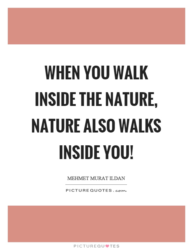 When you walk inside the nature, nature also walks inside you! Picture Quote #1