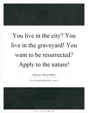 You live in the city? You live in the graveyard! You want to be resurrected? Apply to the nature! Picture Quote #1