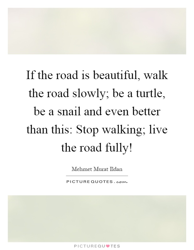 If the road is beautiful, walk the road slowly; be a turtle, be a snail and even better than this: Stop walking; live the road fully! Picture Quote #1