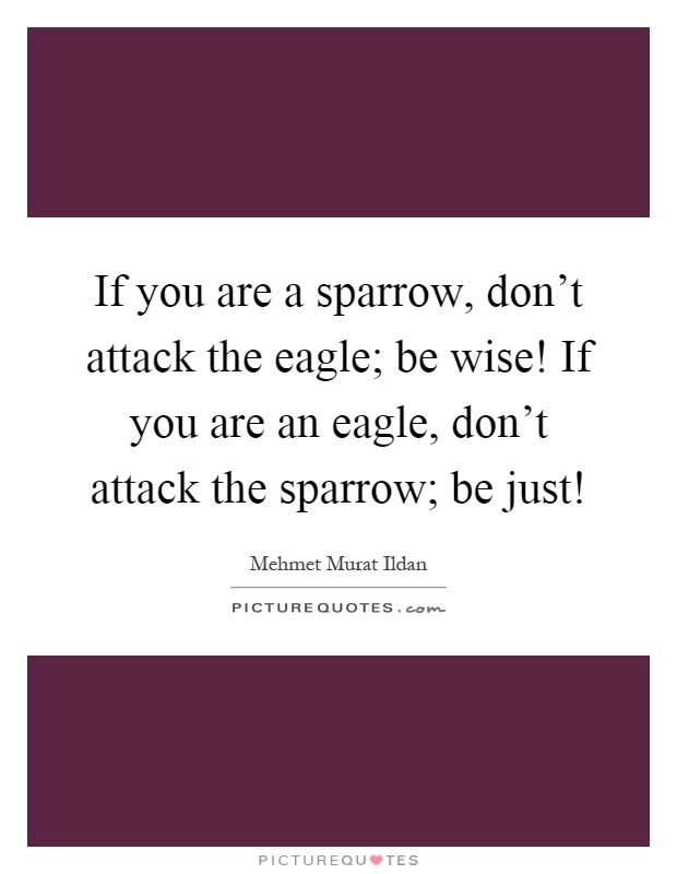 If you are a sparrow, don't attack the eagle; be wise! If you are an eagle, don't attack the sparrow; be just! Picture Quote #1