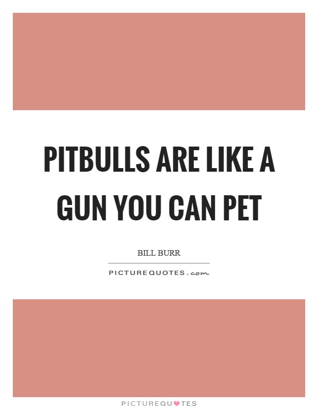 Pitbulls are like a gun you can pet Picture Quote #1