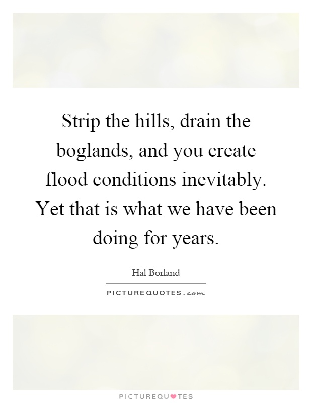 Strip the hills, drain the boglands, and you create flood conditions inevitably. Yet that is what we have been doing for years Picture Quote #1