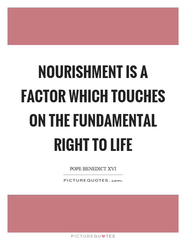Nourishment is a factor which touches on the fundamental right to life Picture Quote #1