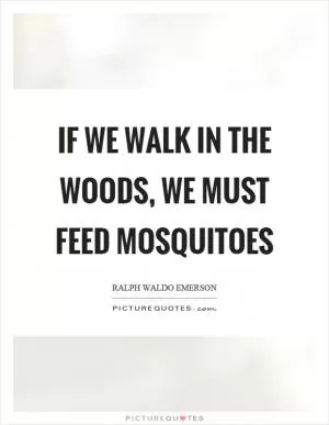 If we walk in the woods, we must feed mosquitoes Picture Quote #1