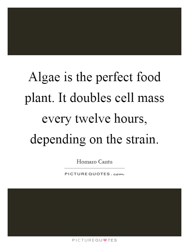 Algae is the perfect food plant. It doubles cell mass every twelve hours, depending on the strain Picture Quote #1