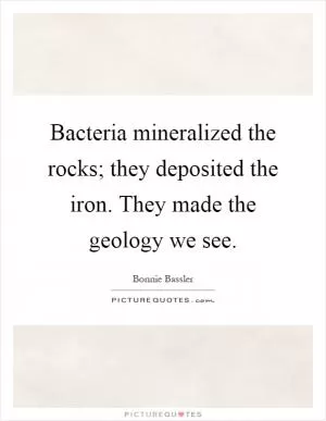 Bacteria mineralized the rocks; they deposited the iron. They made the geology we see Picture Quote #1