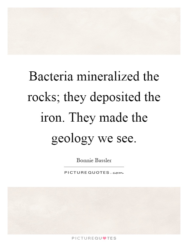 Bacteria mineralized the rocks; they deposited the iron. They made the geology we see Picture Quote #1